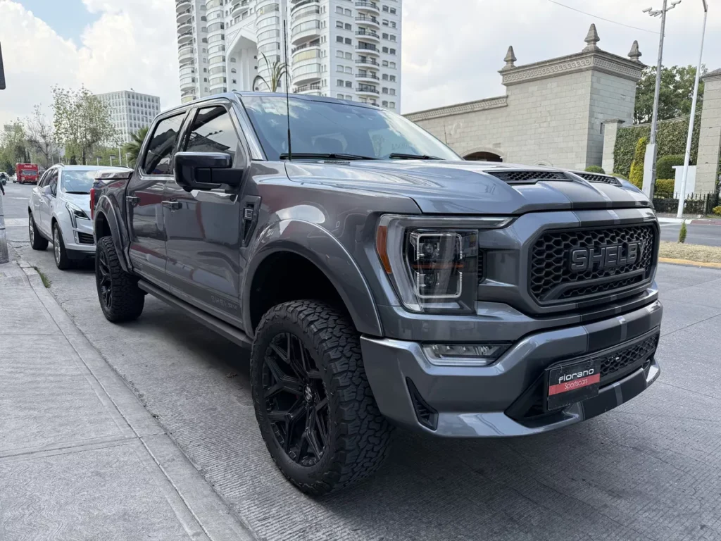 Ford Shelby F150 Off-road